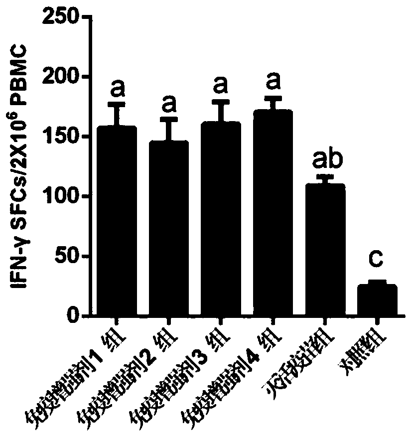 A kind of immunopotentiator and its application