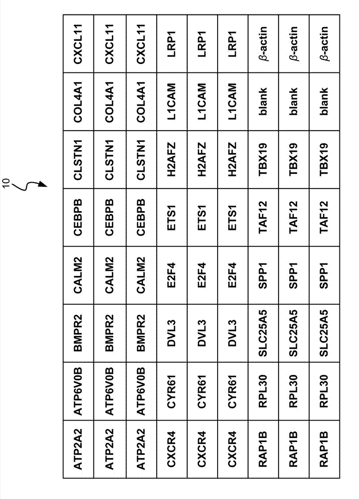 Gene group test structure