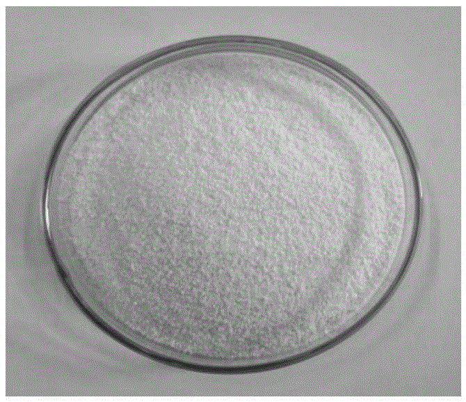 Preparation method of inorganic ion exchange material for stationary phase in solid phase extraction