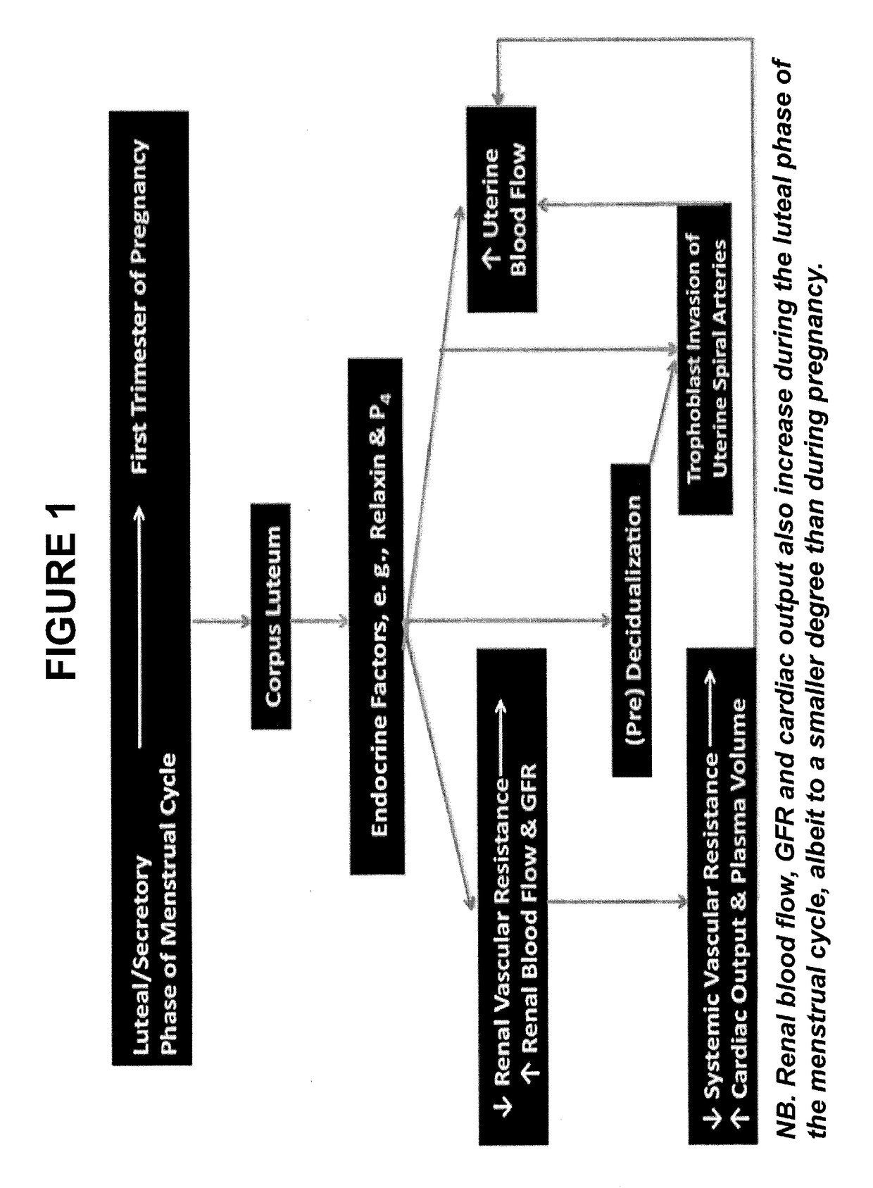 Use of relaxin to treat placental syndromes