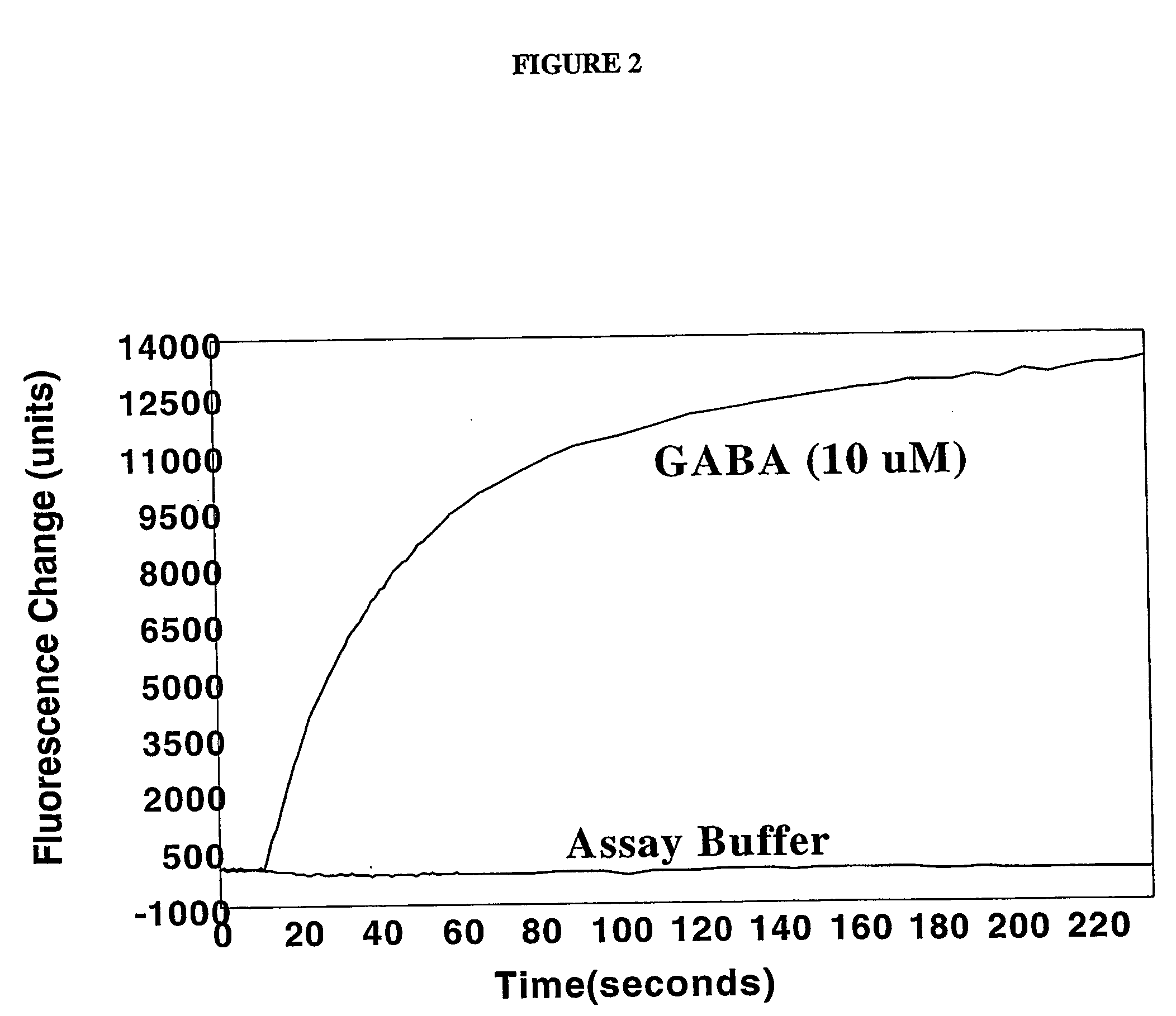 Method for measuring ion channel activity