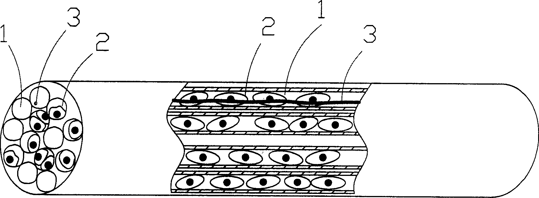 Tissue engineering bone containing innervation and its construction