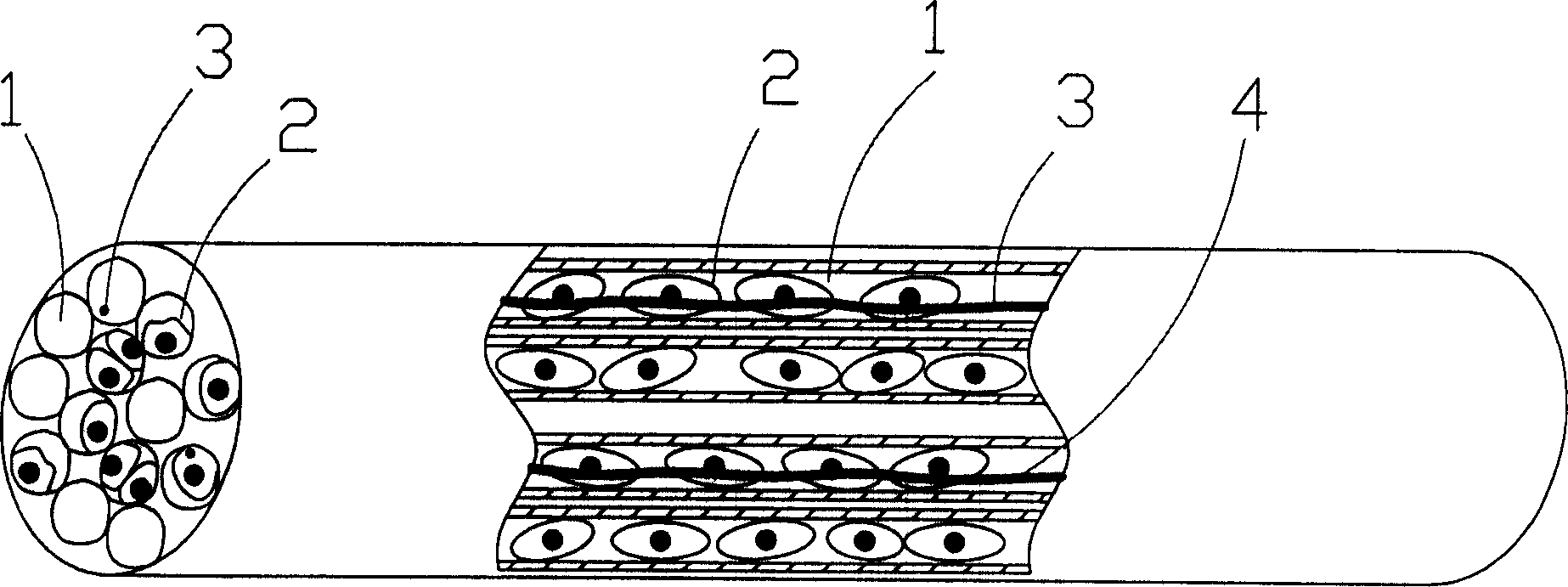 Tissue engineering bone containing innervation and its construction