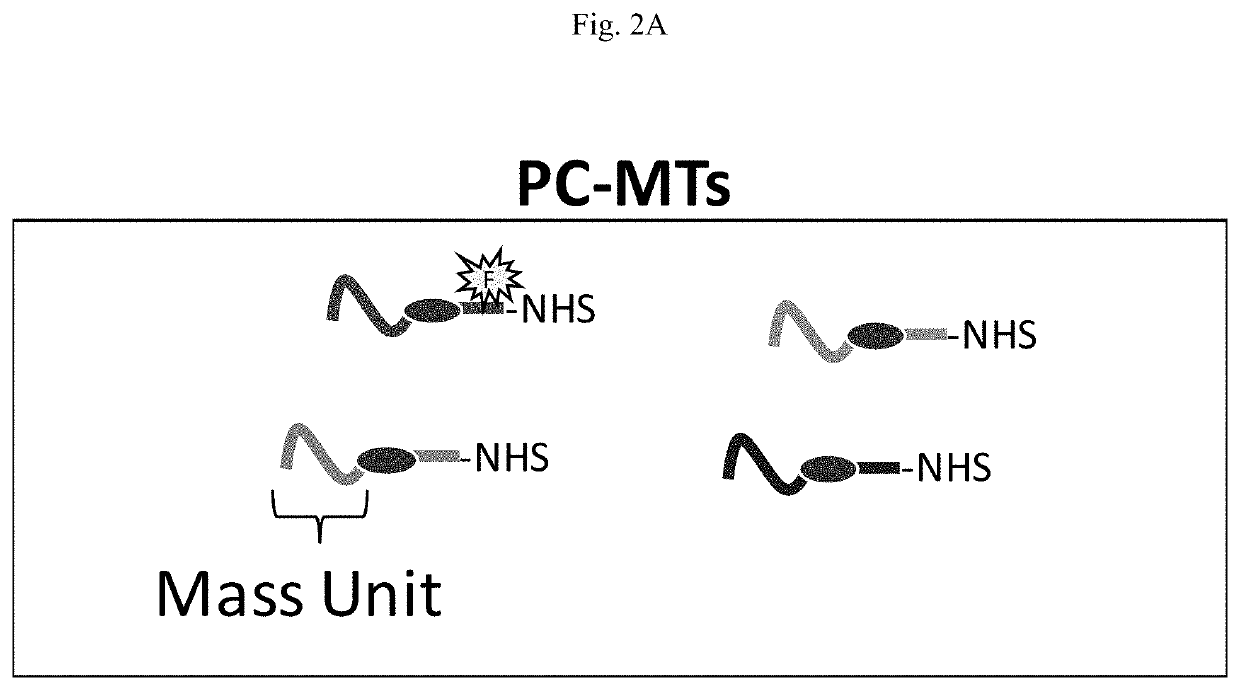 Novel photocleavable mass-tags for multiplexed mass spectrometric imaging of tissues using biomolecular probes