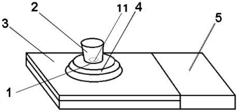 Coronavirus particle detection device