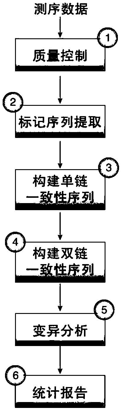 Detection and analysis method of ultra-low frequency mutation sites based on duplex-seq