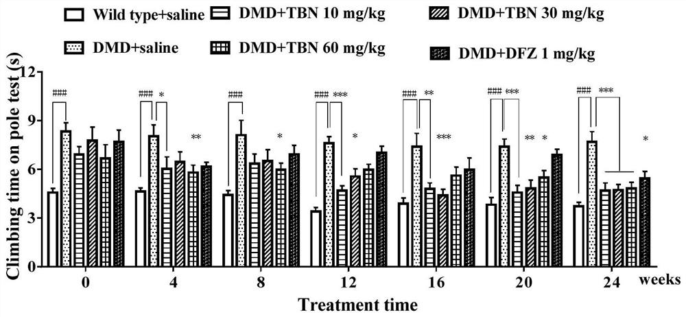 Application of ligustrazine nitrone compound in the preparation of prevention and/or treatment of muscular dystrophy diseases