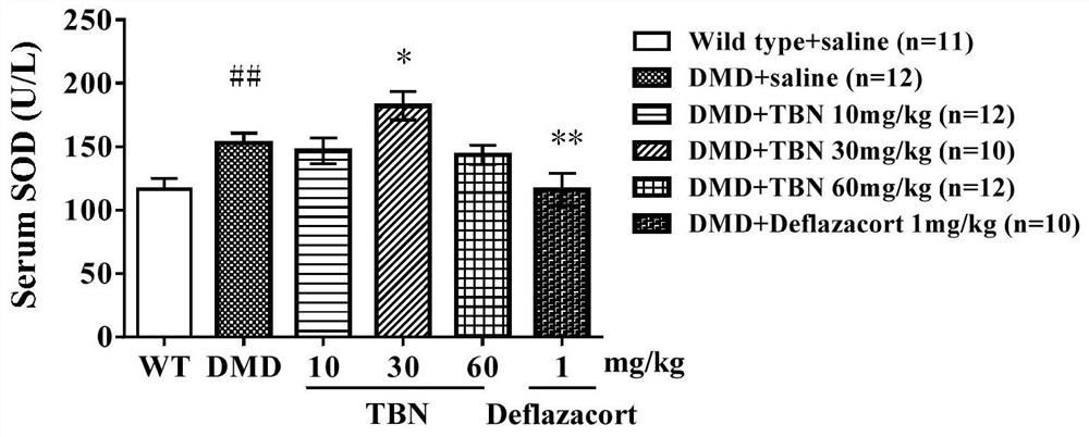 Application of ligustrazine nitrone compound in the preparation of prevention and/or treatment of muscular dystrophy diseases