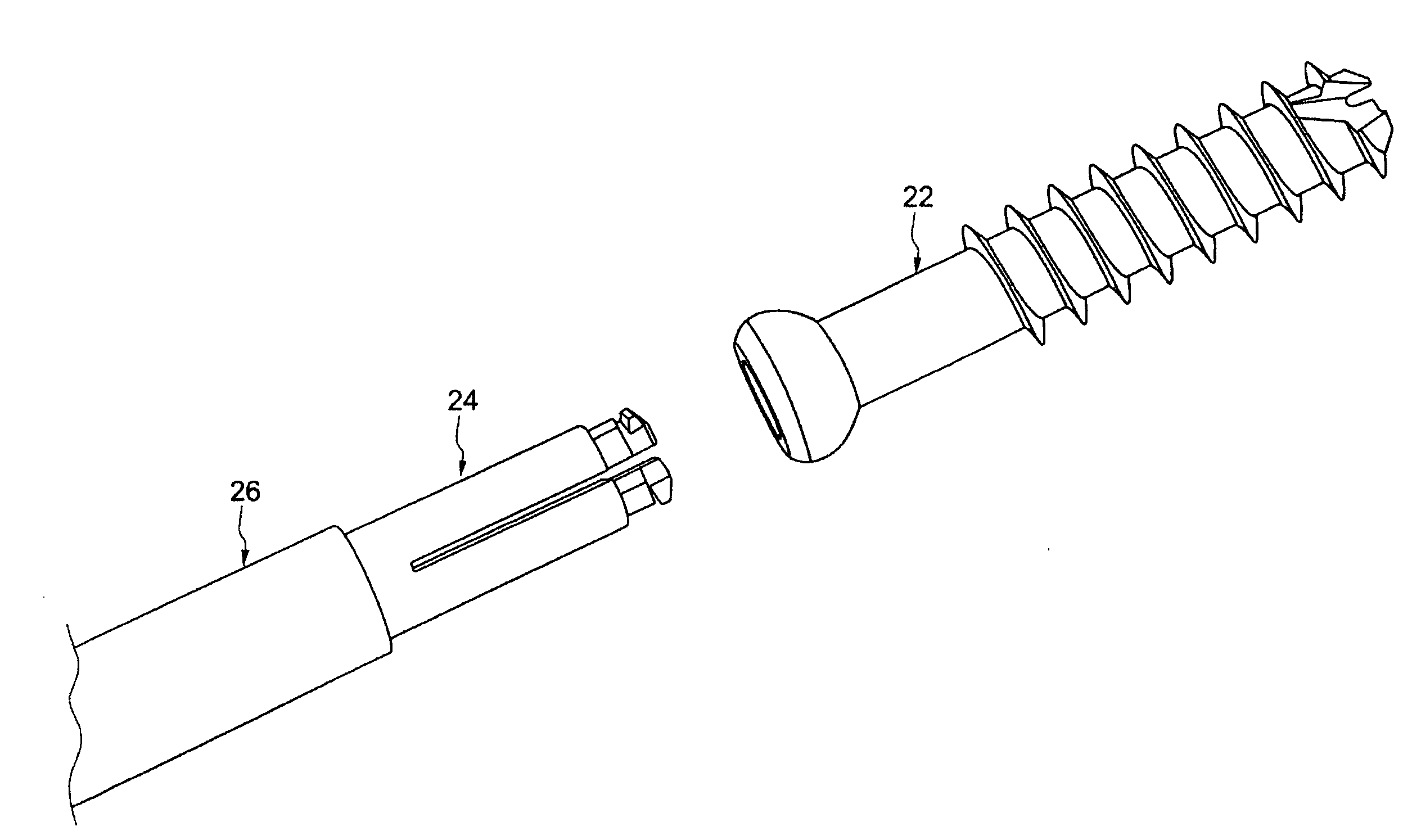 Bone screw holding device