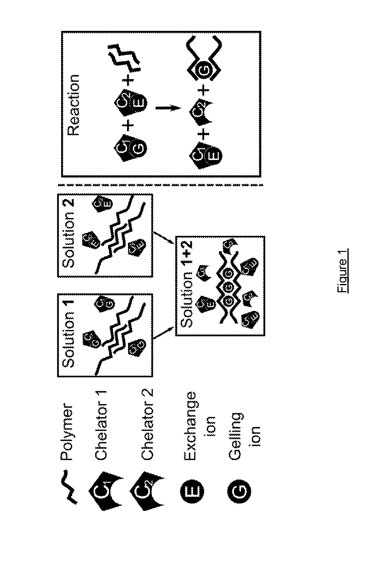 Methods of forming ionically cross-linked gels
