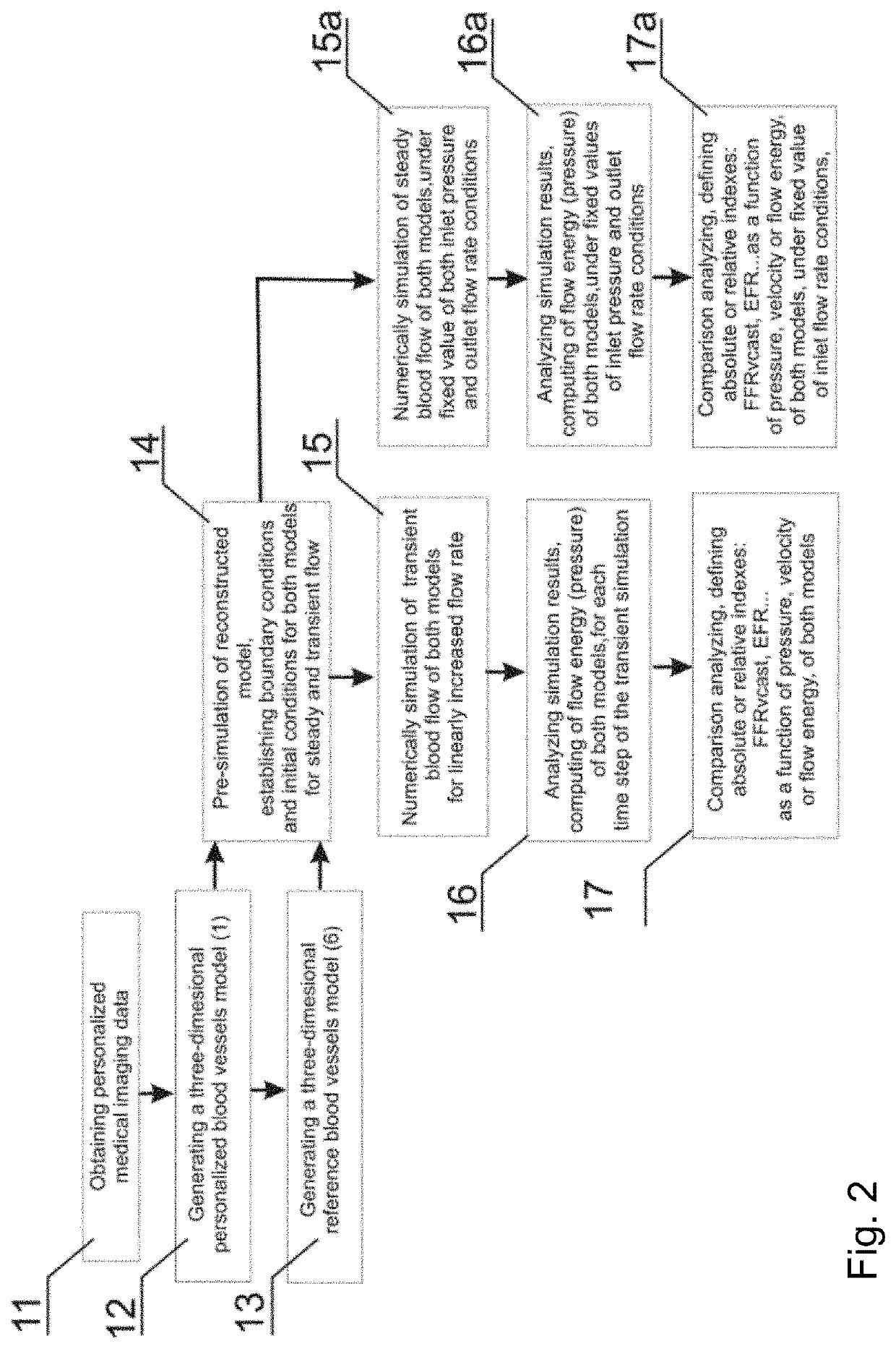 Method and system for modelling blood vessels and blood flow under high-intensity physical exercise conditions