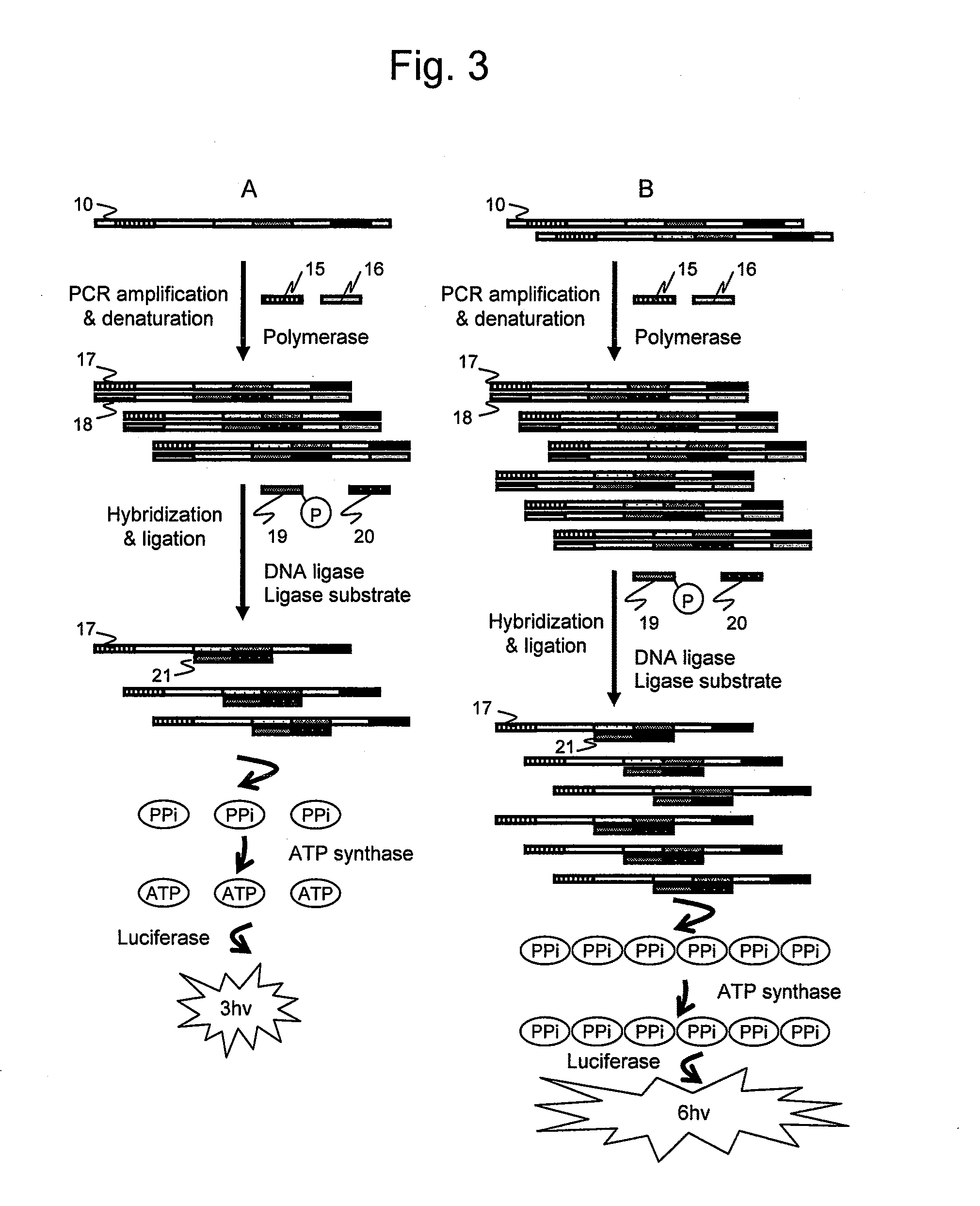 Sequence analysis method