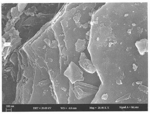 Preparation method and application of a surface organically modified vermiculite composite material