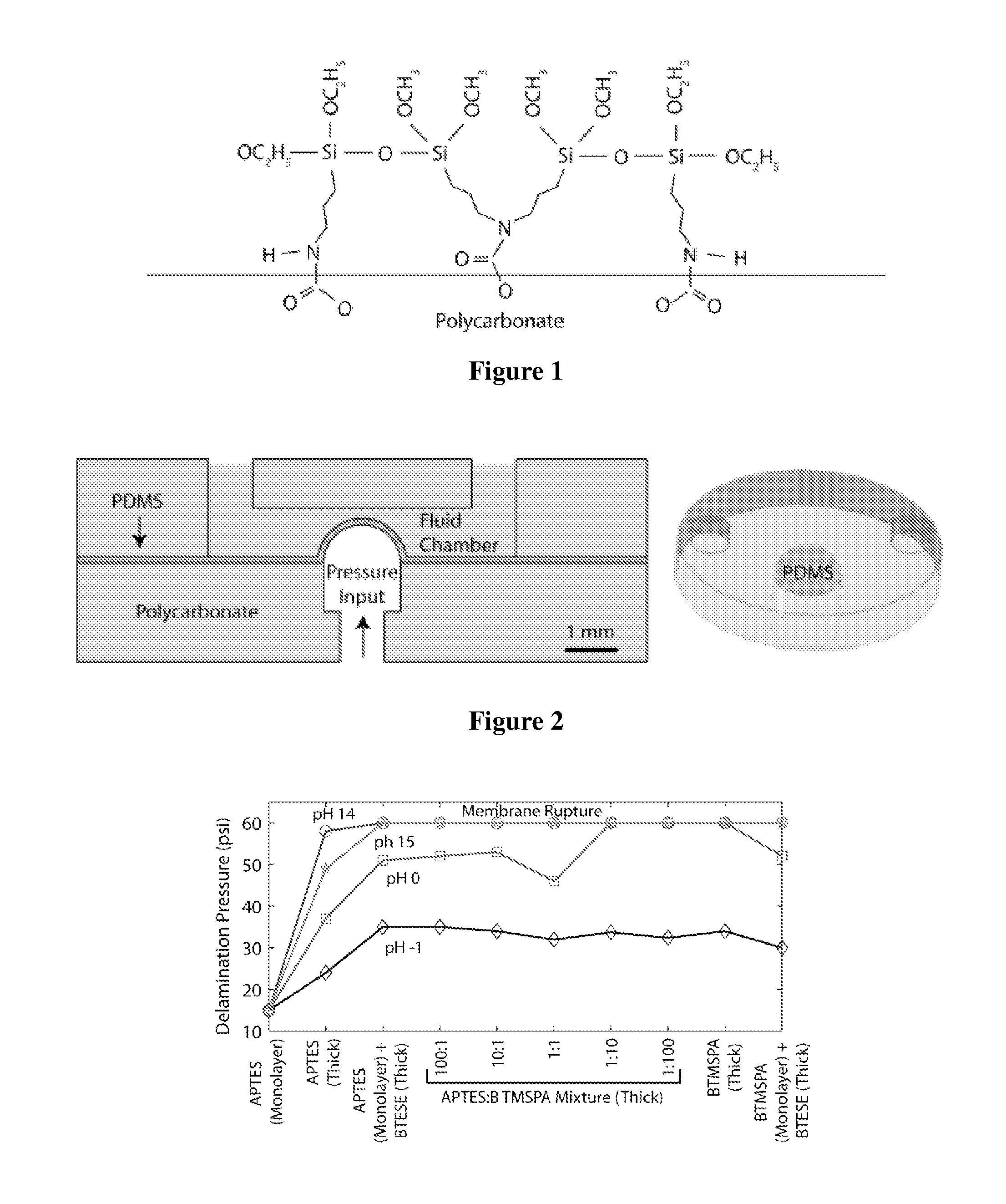 Method of hydrolytically stable bonding of elastomers to substrates