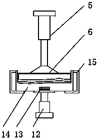 Sizing device for insole