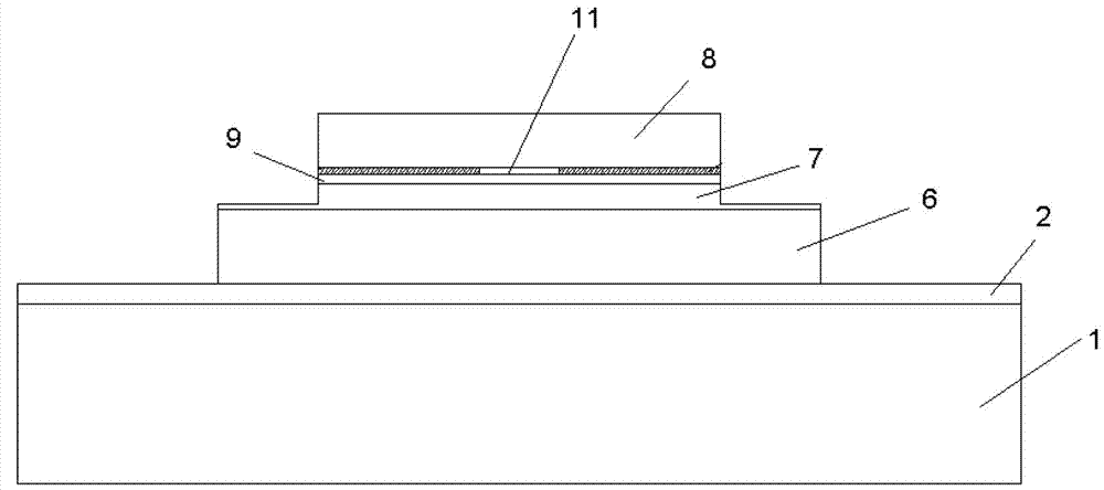 Semi-conductor surface emitting laser and production method and applications thereof