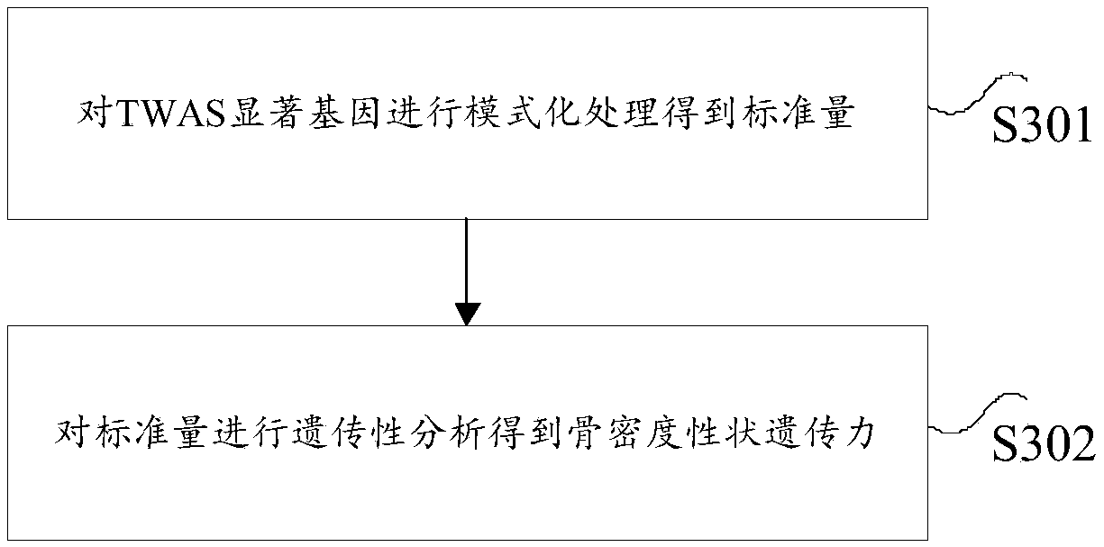 Analysis method and device for bone density character heritability