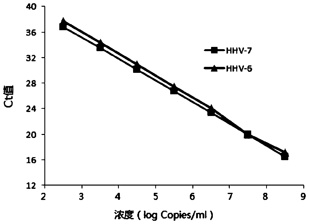 Primers, probes and kits for simultaneous detection of human herpesvirus types 6 and 7