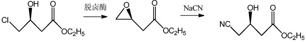 Process of using resin-immobilized halohydrin dehalogenase to catalytically synthesize (R)-4-cyan-3-hydroxy ethyl butyrate