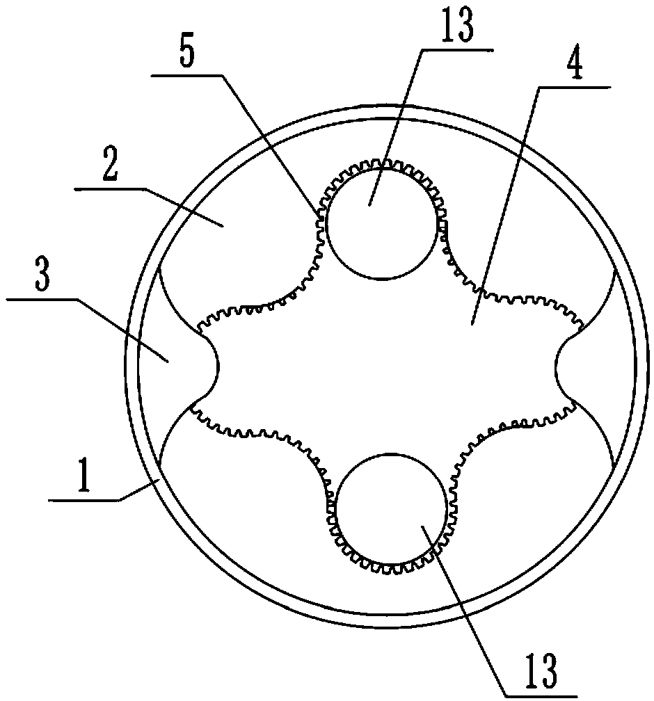 Nut washing apparatus