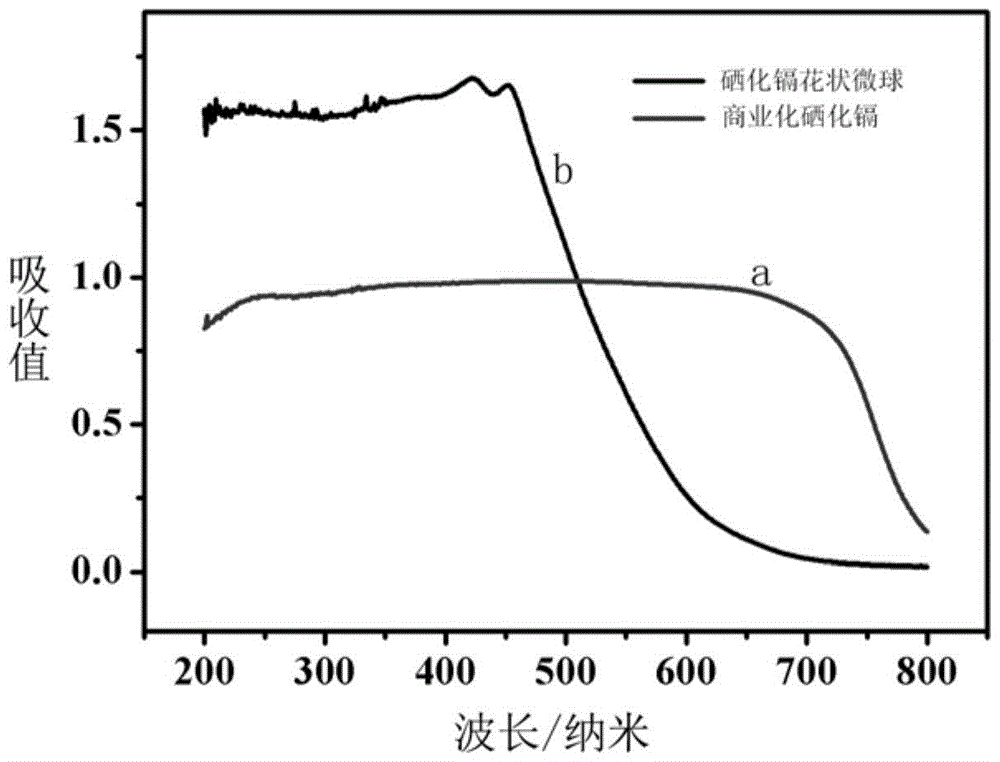 Cadmium selenide flower-like microspheres composed of nanosheets with hydrophilic surface, preparation method and application thereof