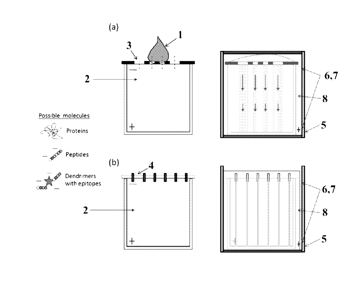 Method for manufacturing a three-dimensional biomimetic scaffold and uses thereof