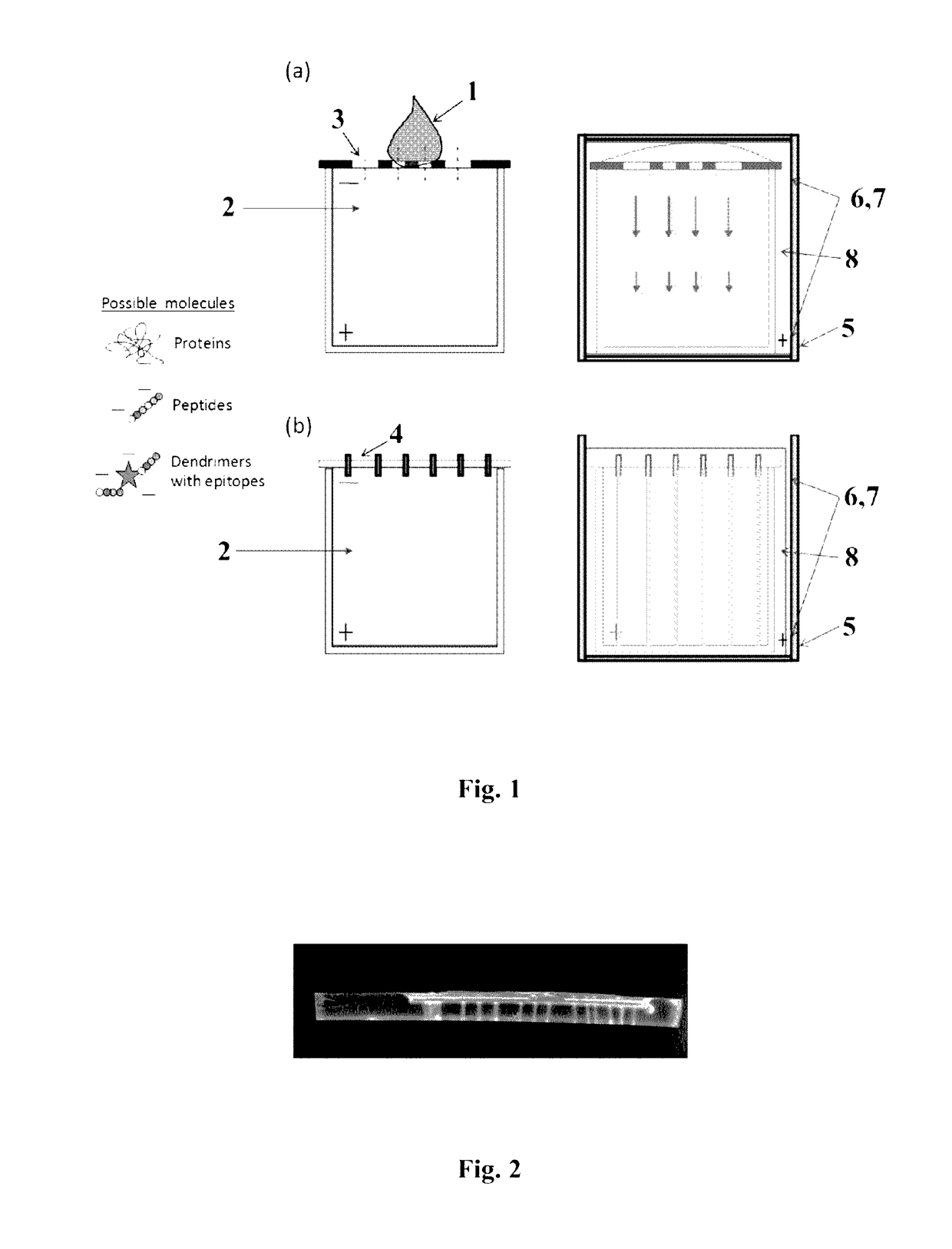 Method for manufacturing a three-dimensional biomimetic scaffold and uses thereof