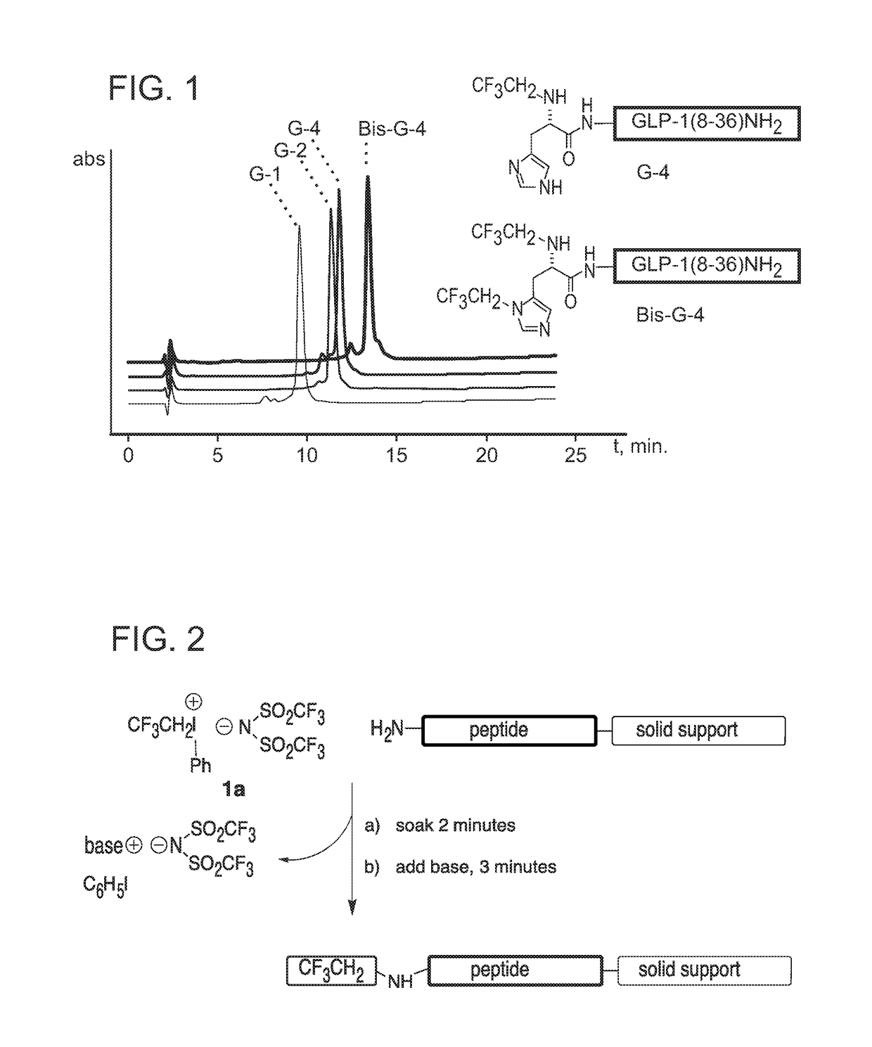 Novel polypeptides with improved proteolytic stability, and methods of preparing and using same