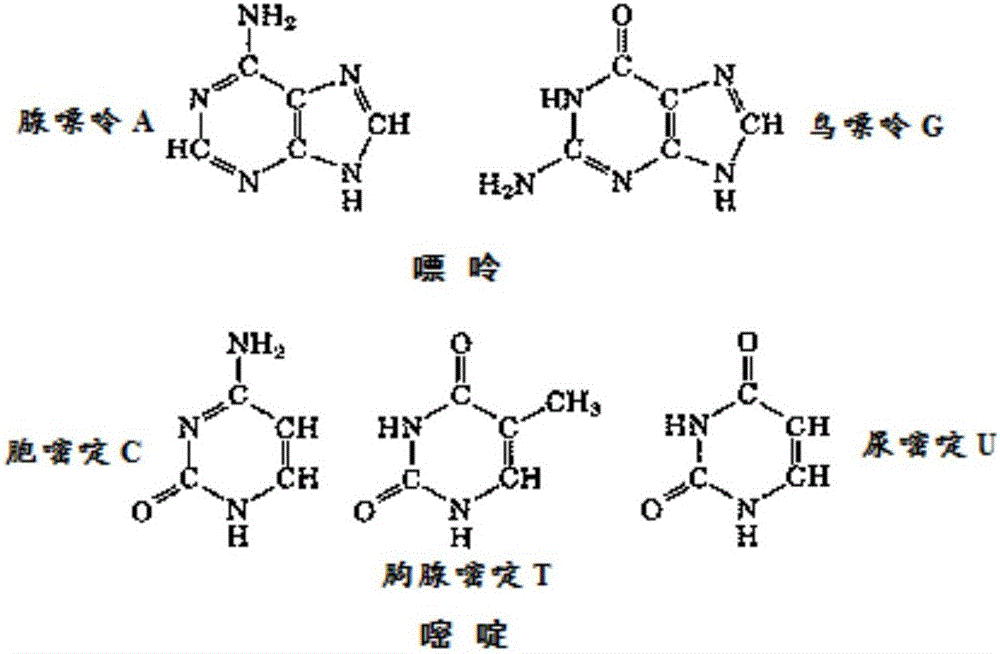 Biology base air source and flame retardant polyolefin compound formed by biology base air source