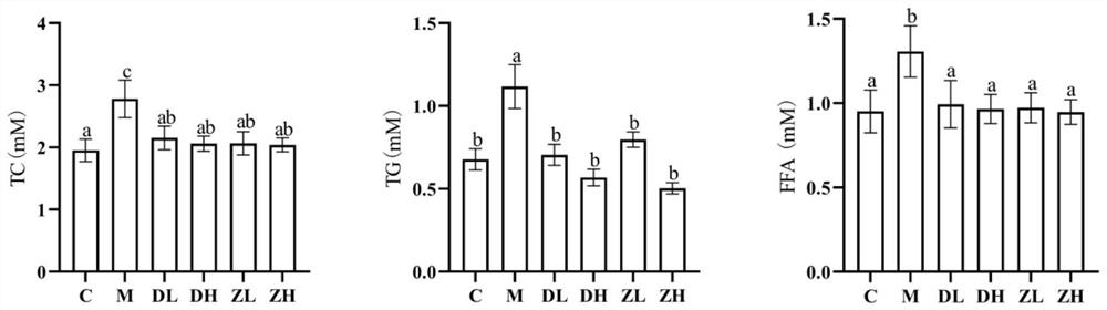 Astragalus mongholicus functional food for improving alcoholic liver injury