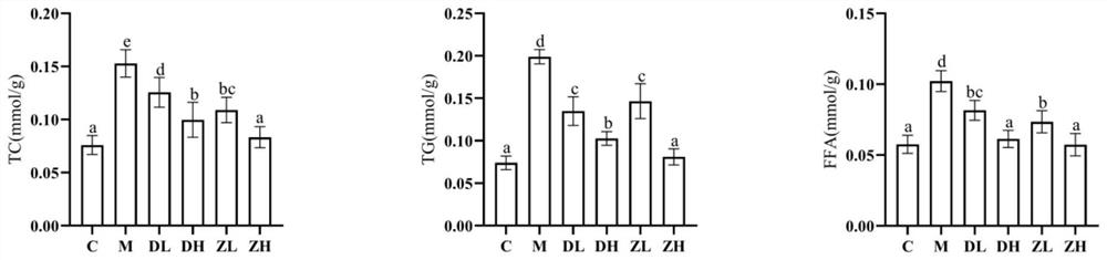 Astragalus mongholicus functional food for improving alcoholic liver injury