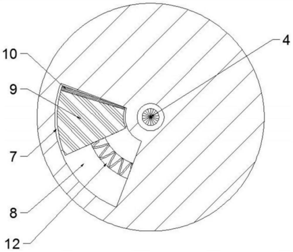 Automatic pet feeding device