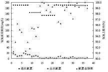 Device and method for biologically denitrifying wastewater with high salinity