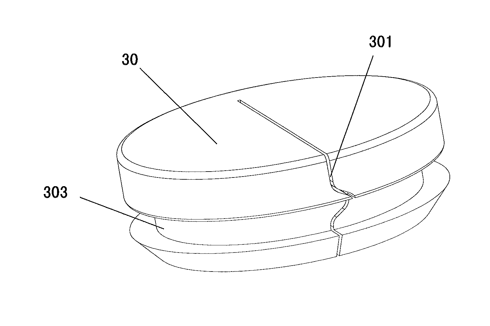 Brain electrode lead anchoring device