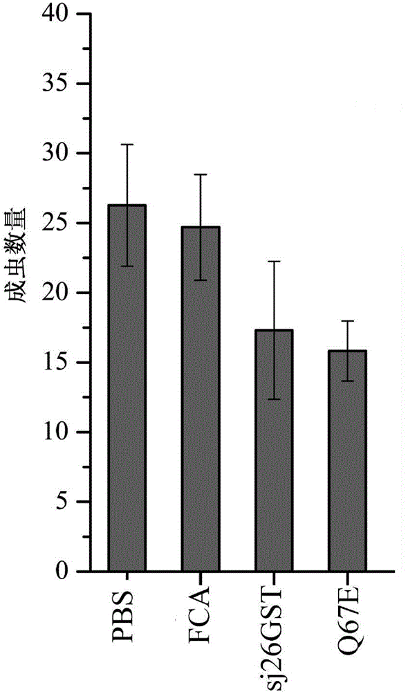 Mutant of schistosoma japonicum glutathione-S-transferase and application thereof