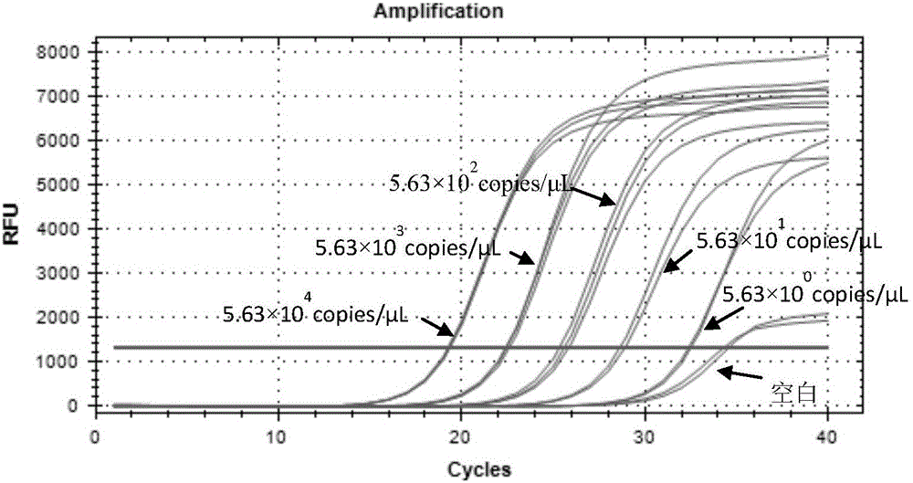 Method for detecting escherichia coli in coastal seawater