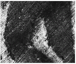 Preparation method of a porous ceramic/metal bicontinuous phase composite material with adjustable matrix phase and reinforcement phase composition