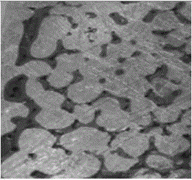 Preparation method of a porous ceramic/metal bicontinuous phase composite material with adjustable matrix phase and reinforcement phase composition