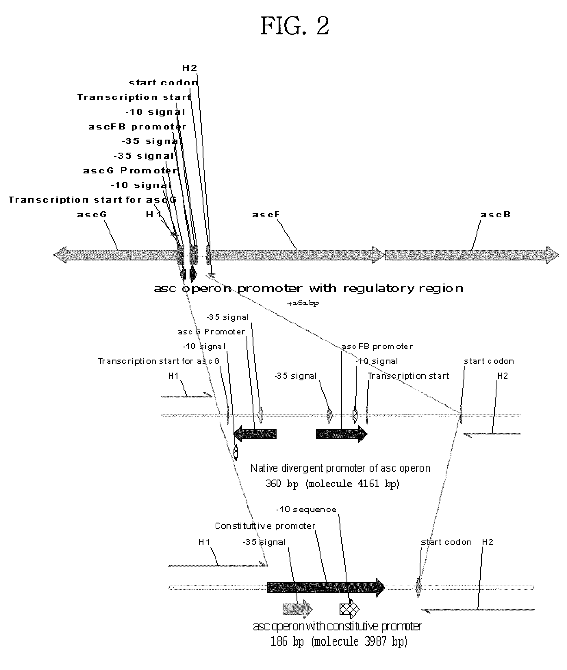 Mutant microorganism with enhanced sugar utilization and methods for preparing the same