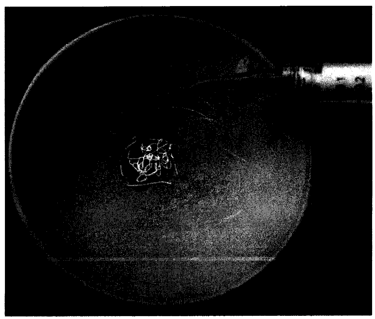 Injectable efficient suspended stable calcium phosphate cement and preparation method and application thereof