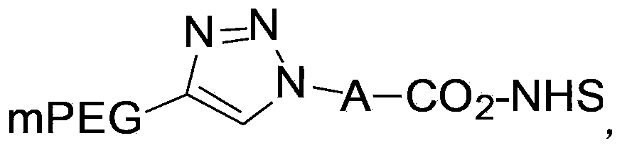 Tolyltriazole-containing polyethylene glycol protein modifier, preparation method thereof and application thereof