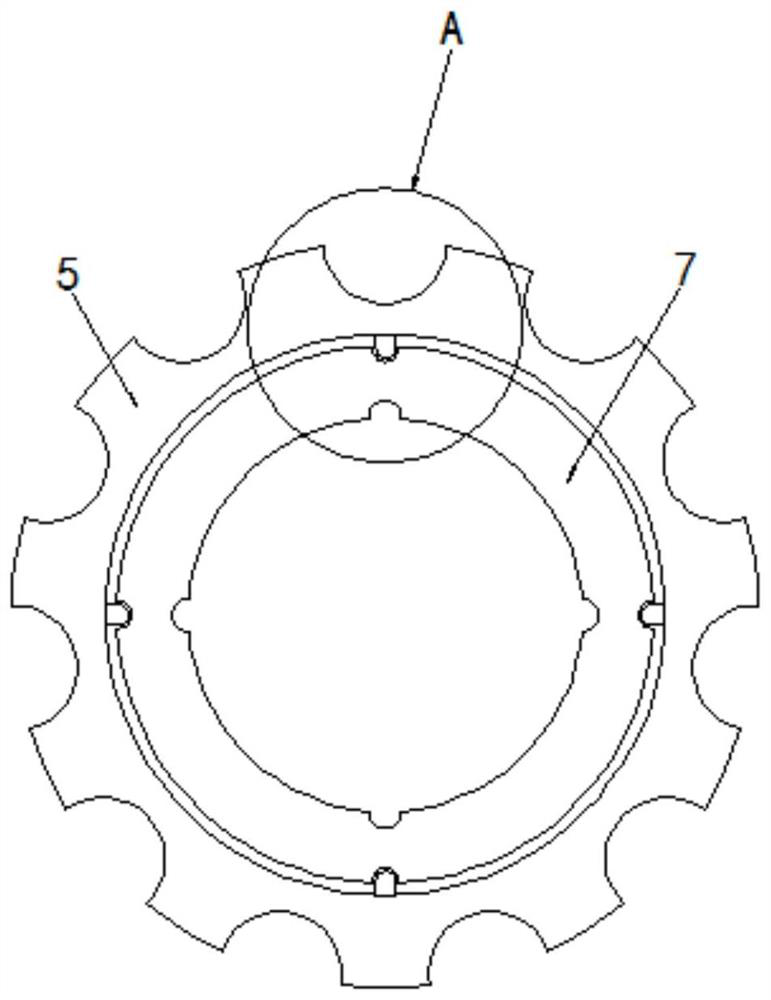 Feeding device for seeder that can change the number of seeds