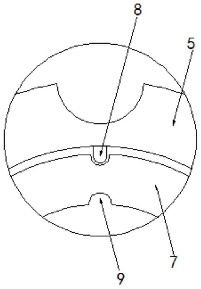 Feeding device for seeder that can change the number of seeds