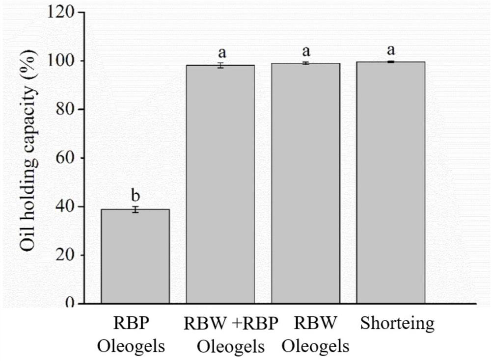 Novel rice bran protein-based shortening substitute and application thereof in baked food