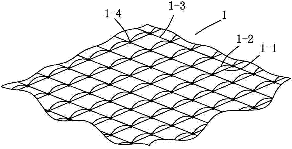 Warp-knitted polyester glass fiber three-dimensional slope protection soil fixation grating and preparation method thereof