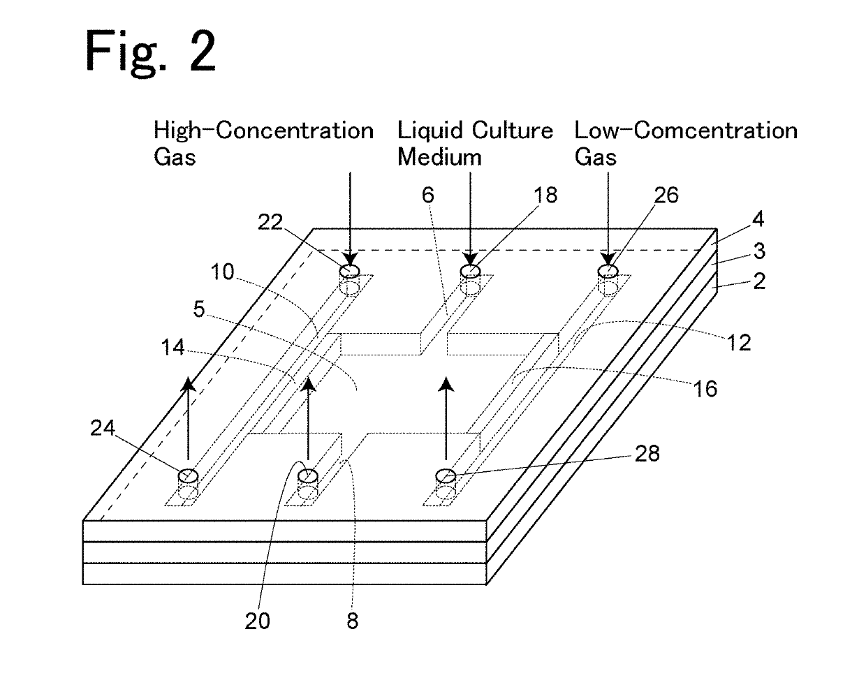 Cell culture container and cell culture method using the container