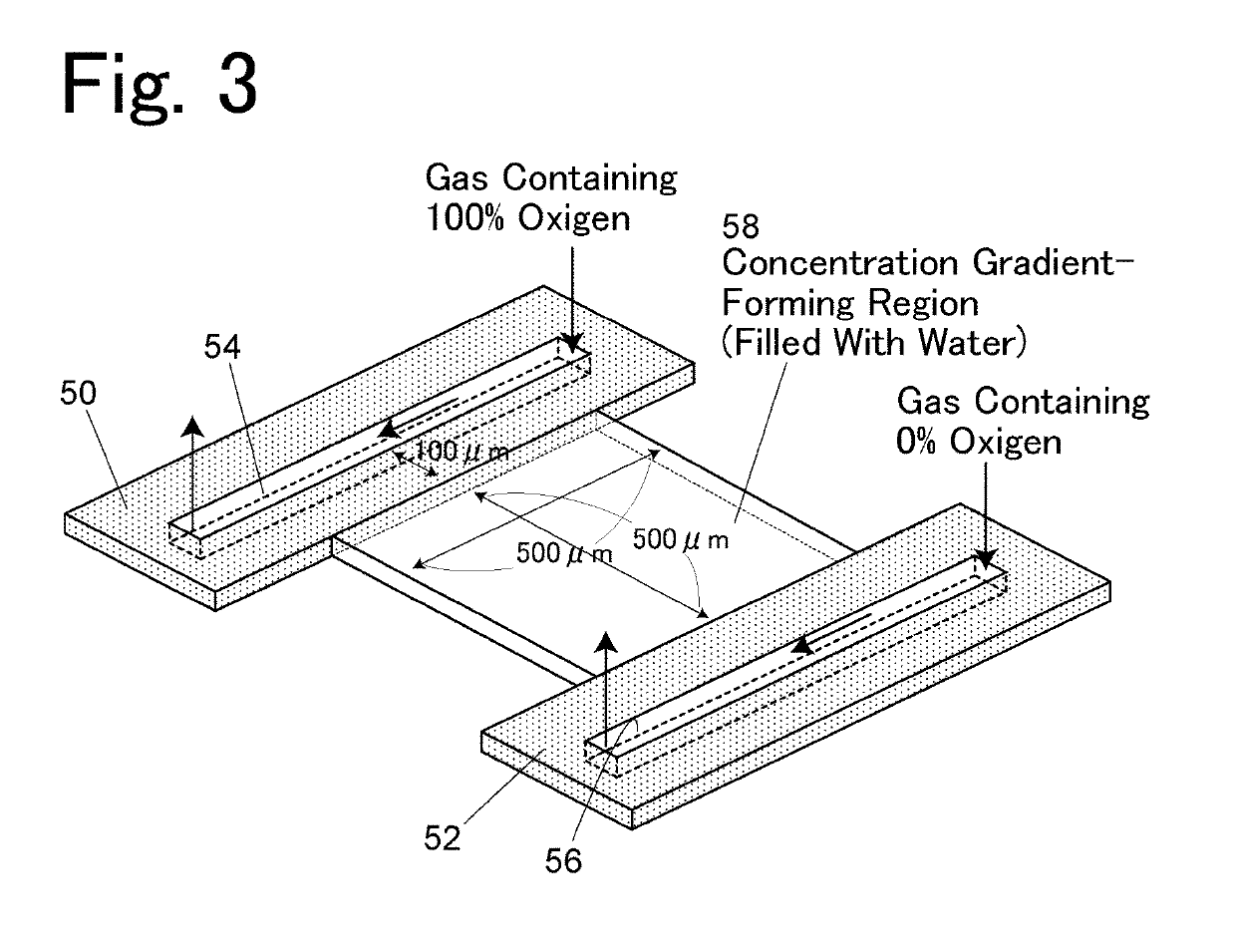 Cell culture container and cell culture method using the container