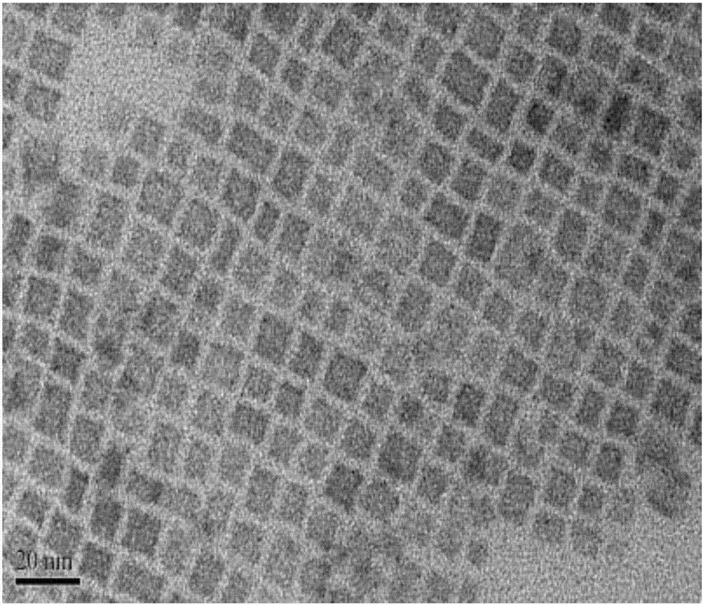 Low-temperature fast preparation method of perovskite luminous material of formamidine lead bromide nanometer crystals