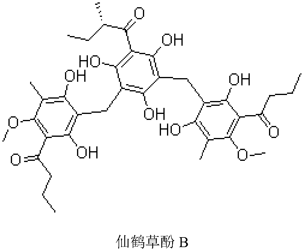 Application of agrimophol B as TFEB nuclear translocation inducer