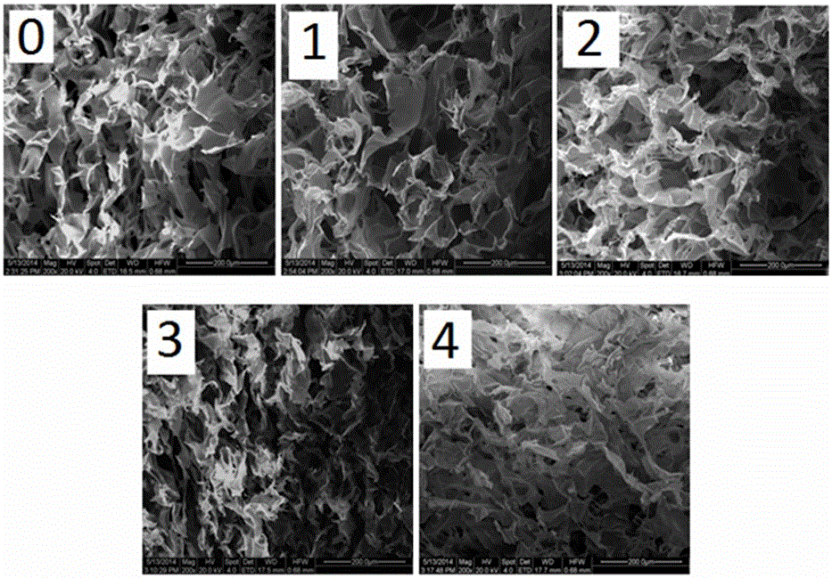 Collagen/chitosan composite sponge biological dressing and preparation method thereof